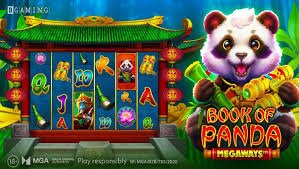 6033 bet